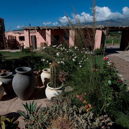Famatina Finca Huayrapuca מראה חיצוני תמונה
