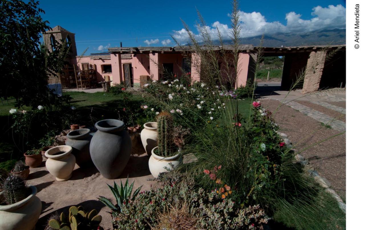 Famatina Finca Huayrapuca מראה חיצוני תמונה